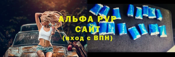 сатива Бердск