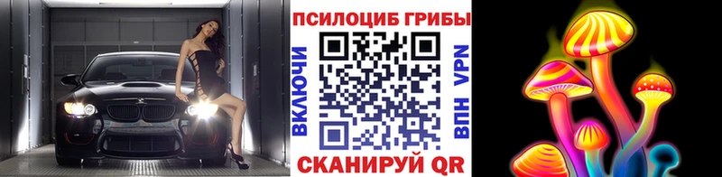 Псилоцибиновые грибы мицелий Новосибирск